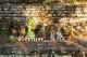 Thailand: A selection of statues including Thai King Chulalongkorn (Rama V) placed at the base of Chedi Plong by devotees, Wat Chiang Chom (Wat Chedi Plong), Chiang Mai